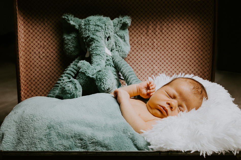 2020 09 26 11h29 011